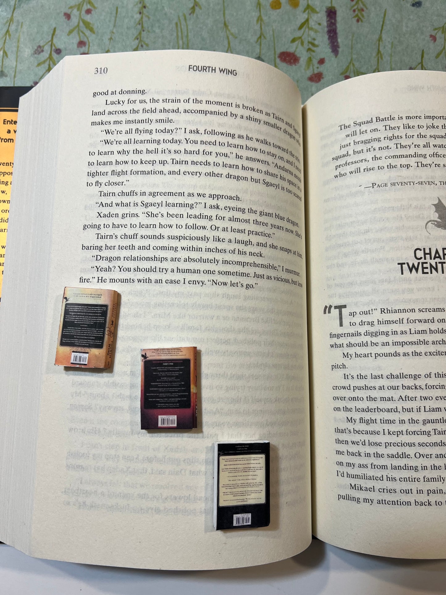 The Empyrean mini book series - Beautiful Bookish Things