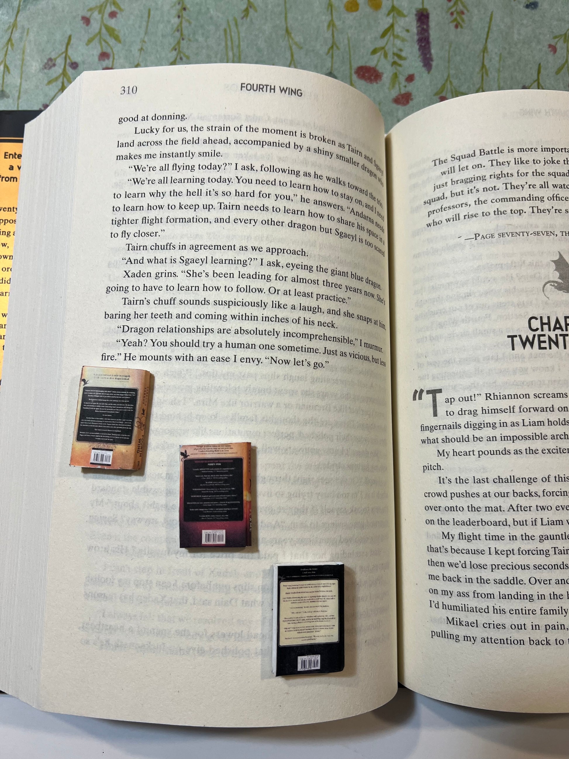 The Empyrean mini book series - Beautiful Bookish Things
