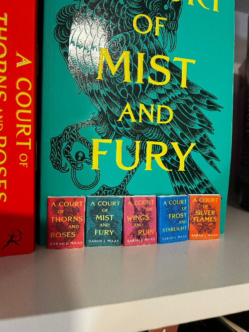 ACOTAR mini foam books
