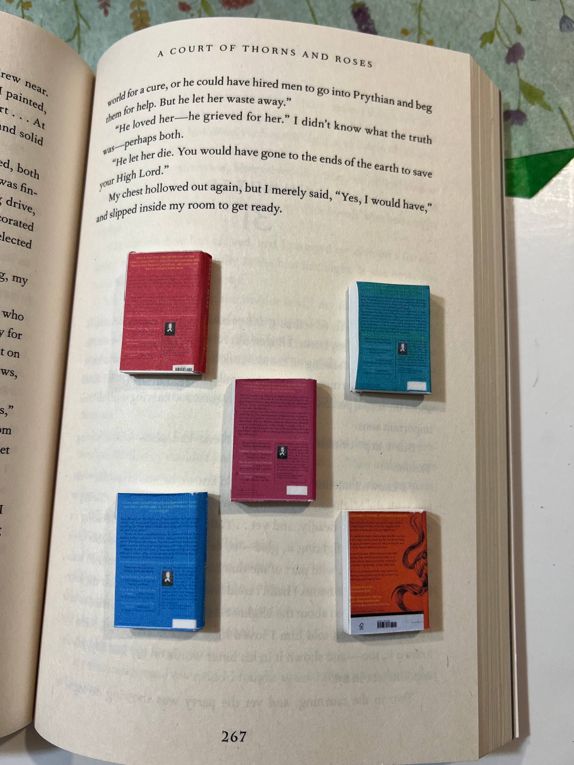 ACOTAR mini book series - Beautiful Bookish Things