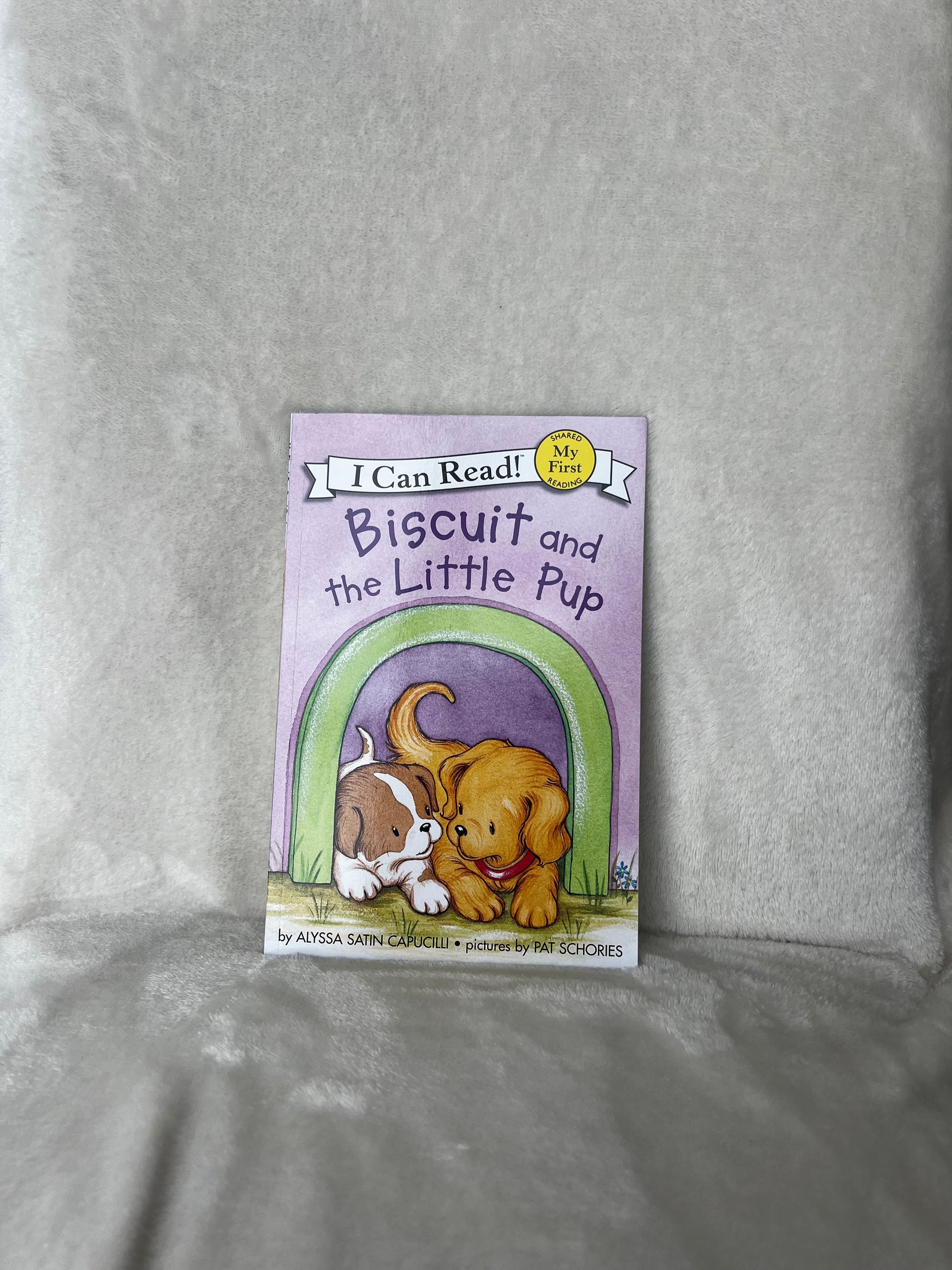 Biscuit and the Little Pup (age 3-5) - Beautiful Bookish Things