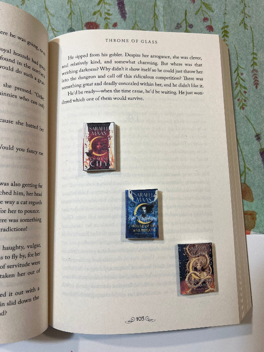 Cresent City mini book series - Beautiful Bookish Things