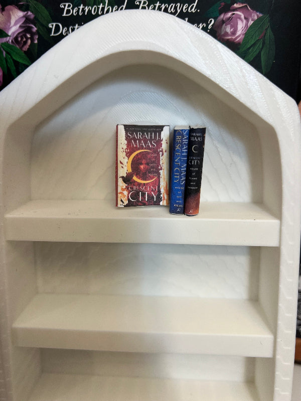 Cresent City mini book series - Beautiful Bookish Things