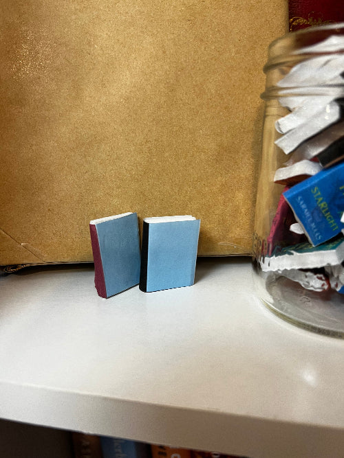 Customize your own mini book - Beautiful Bookish Things