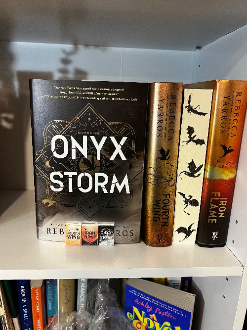 The Empyrean mini book series - Beautiful Bookish Things
